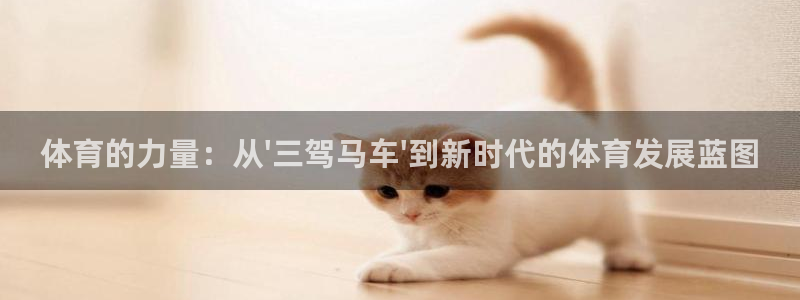 体育的力量：从\'三驾马车\'到新时代的体育发展蓝图