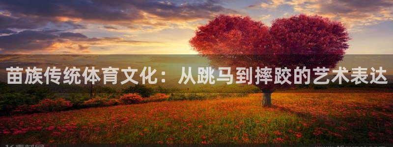 nba球迷在线直播网：苗族传统体育文化：从跳马到摔跤的艺术表达