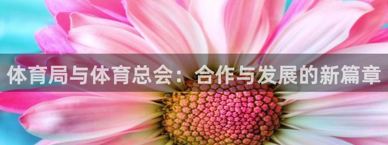 阿森纳球迷