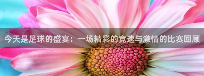 178高清篮球体育直播球迷网：今天是足球的盛宴：一场精彩的竞速与激情的比赛回顾