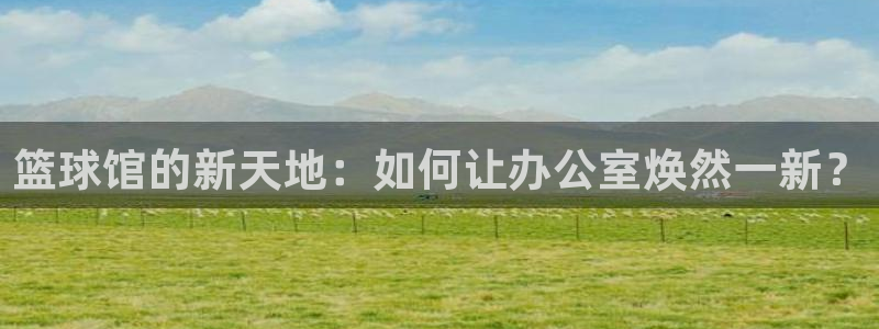 球迷体育足球篮球直播：篮球馆的新天地：如何让办公室焕然一新？