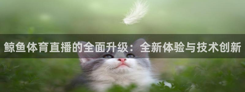 球迷直播nba免费：鲸鱼体育直播的全面升级：全新体验与技术创新