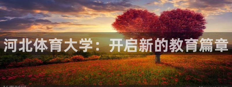 nba球星中国球迷排行榜