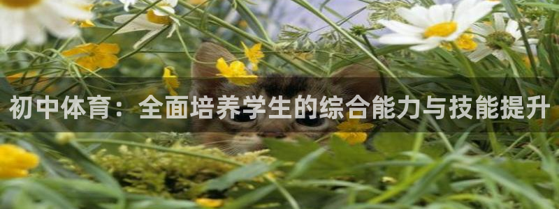 球迷网nba比赛直播在哪看