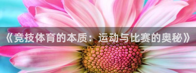 球迷汇体育：《竞技体育的本质：运动与比赛的奥秘》