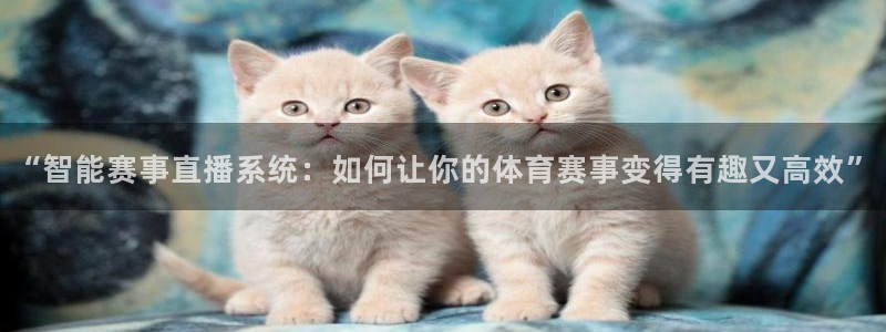 球迷体育好用吗：“智能赛事直播系统：如何让你的体育赛事变得有趣又高效”