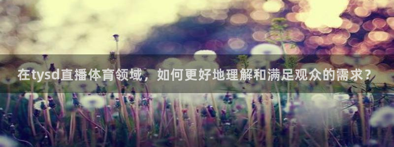 小球迷助手app下载：在tysd直播体育领域，如何更好地理解和满足观众的需求？
