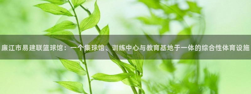 球迷最多的足球俱乐部排行：廉江市易建联篮球馆：一个集球馆、训练中心与教育基地于一体的综合性体育设施