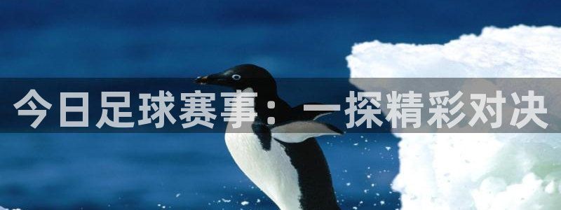 球迷体育的收费方式：今日足球赛事：一探精彩对决