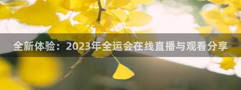 中国球迷最喜欢的球队：全新体验：2023年全运会在线直播与观看分享