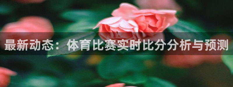 nba球迷网