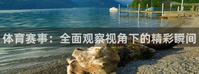 国足球迷：体育赛事：全面观察视角下的精彩瞬间
