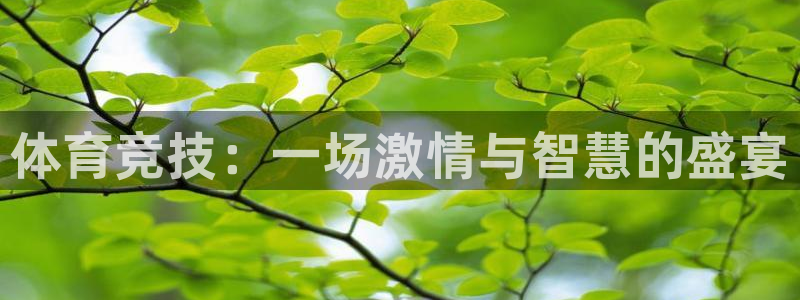 球迷体育app下载安卓苹果：体育竞技：一场激情与智慧的盛宴
